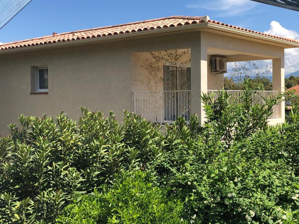 L'Alivu Ajaccio (Corsica) Exterior foto